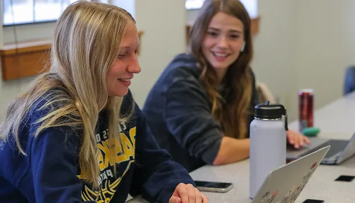 students working on their computers